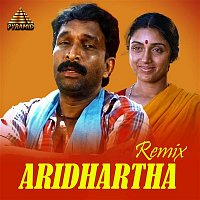 Přední strana obalu CD Aridhartha - Remix