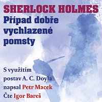 Macek: Sherlock Holmes. Případ dobře vychlazené pomsty