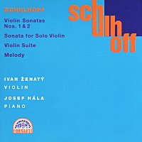 Přední strana obalu CD Schulhoff: Skladby pro housle a klavír