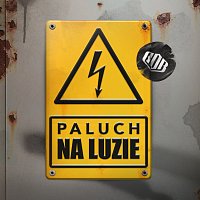 Paluch, Bodhi, Leśny, DJ Taek – Na luzie