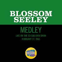 San Francisco/My Kind Of Town/Shine On Harvest Moon [Medley/Live On The Ed Sullivan Show, February 27, 1966]