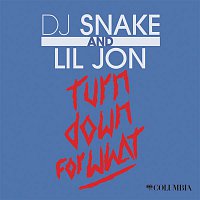 DJ Snake & Lil Jon – Turn Down for What