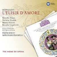 Donizetti: L'elisir d'amore