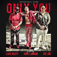 Ncredible Gang, Nick Cannon, Fat Joe, DJ Luke Nasty – Only You