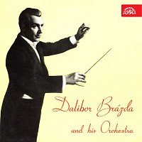 Dalibor Brázda se svým orchestrem