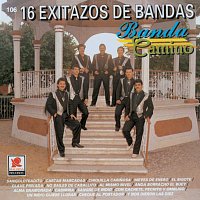 16 Exitazos De Bandas