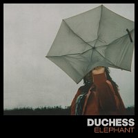 Duchess – Elephant