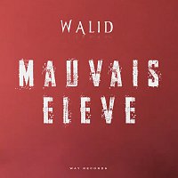Walid – Mauvais éleve