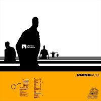 Přední strana obalu CD Aminoacid