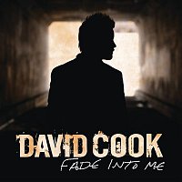 David Cook – Fade Into Me