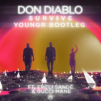 Don Diablo, Emeli Sandé, Gucci Mane – Survive [Youngr Bootleg]