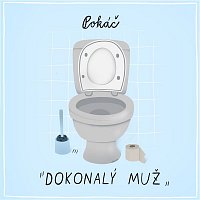 Přední strana obalu CD Dokonalý muž