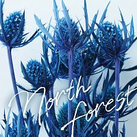 HY – North Forest