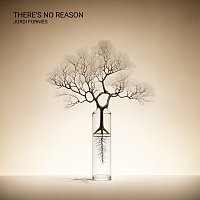 Jordi Forniés – There’s No Reason