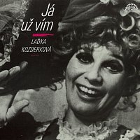 Přední strana obalu CD Já už vím (výběr) + bonus (nahrávky z let 1961-71)