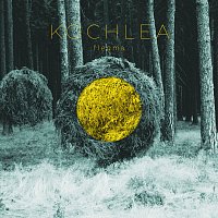 Kochlea – Flegma MP3