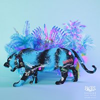 Paces, Nyne – Savage [Remixes]