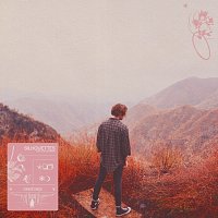 Madnap, Little Shadows – Silhouettes