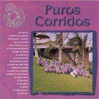 Banda Sinaloense El Recodo De Cruz Lizarraga – Puros Corridos