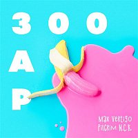 Přední strana obalu CD Raz 300