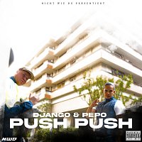 Django, PEPO – PUSH PUSH