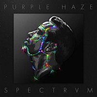 Purple Haze – SPECTRVM