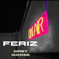 Přední strana obalu CD Grey Goose