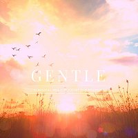Gentle Classical Music Playlist for Studying