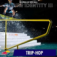 Přední strana obalu CD Future Identity III