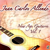 Juan Carlos Allende – New Age Guitarra, Vol. 1
