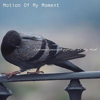 Motion of My Moment