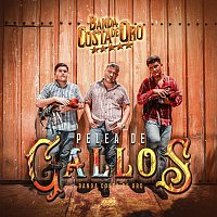 Banda Costa De Oro – Pelea De Gallos