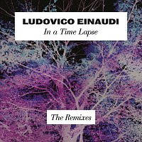 Přední strana obalu CD In A Time Lapse - The Remixes
