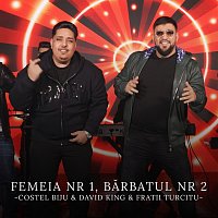Costel Biju, David King, Fratii Turcitu – Femeia nr 1, bărbatul nr 2