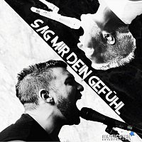 Sascha Bo – Sag mir dein Gefuhl