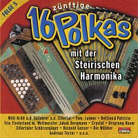 Přední strana obalu CD 16 zunftige Polkas mit der Steirischen Harmonika Folge 5