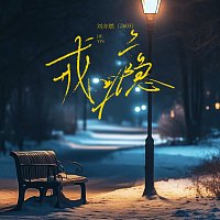 Přední strana obalu CD ??