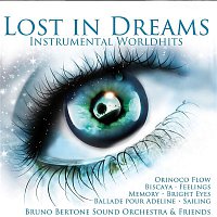 Various Artists.. – Lost In Dreams: Instrumental Worldhits