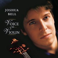 Přední strana obalu CD Voice of the Violin