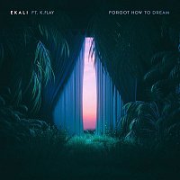 Ekali – Forgot How To Dream (feat. K.Flay)
