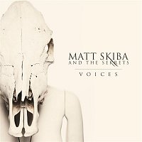 Matt Skiba, the Sekrets – Voices