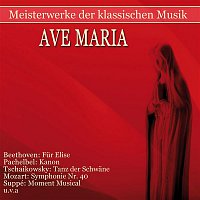 Various  Artists – Meisterwerke der klassischen Musik: Ave Maria
