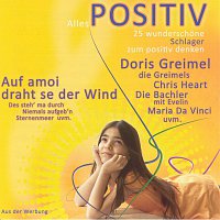 Různí interpreti – Sampler "Alles POSITIV"