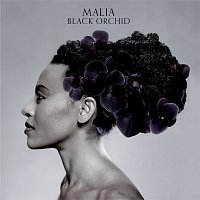 Malia – Black Orchid