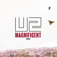 Přední strana obalu CD Magnificent [eSingle Multi track]