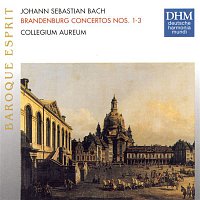 J.S. Bach: Brandenburg Concertos 1 - 3