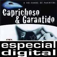 Boi Bumba Garantido, Boi Bumbá Caprichoso – Boi Bumba Garantido & Boi Bumba Caprichoso