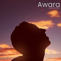 Shubham Kabra – Awara