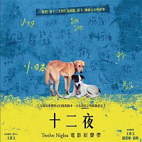 Owen Wang – Twelve Nights (Original Soundtrack)