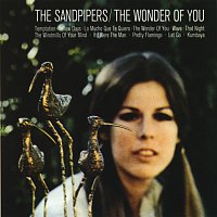 The Sandpipers – The Wonder Of You